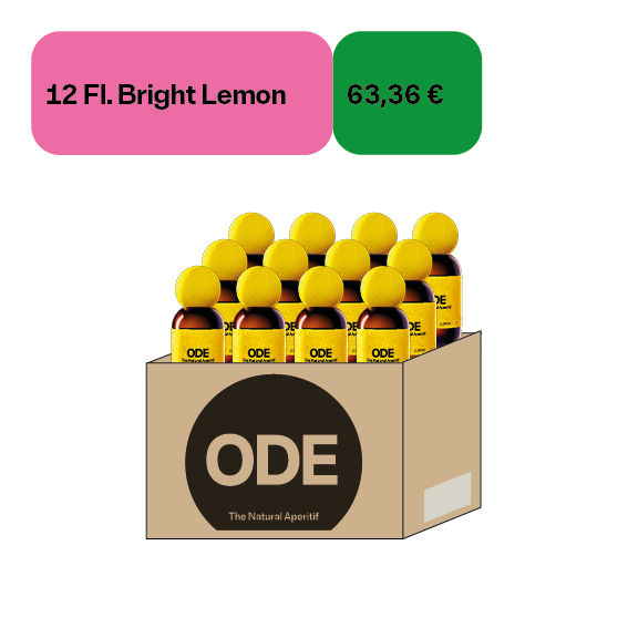 12 × Bright Lemon Mini | 18,5 % Vol. | 0,1 L