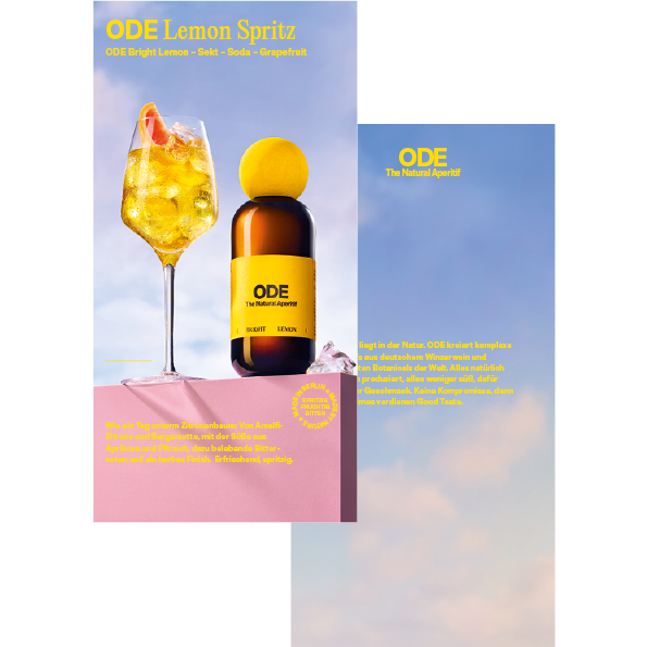 Flyer Gastro BL Classic Spritz DINLang