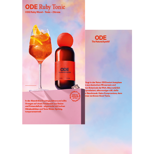 Flyer Gastro RW Classic Tonic DINLang