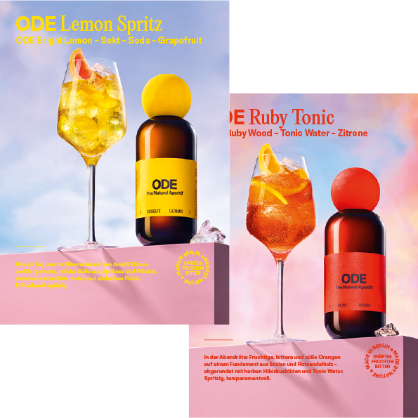 Flyer Gastro BL RW Classic Spritz Tonic DINA5